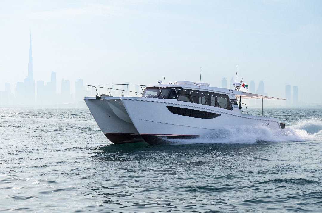SilverCat 46 LUX-1